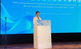 «Кыргызстан достойно выполняет функции председательствующей страны в ШОС»