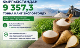 Кыргызстан в 2026 экспортировал свыше 9 тысяч тонн сахара
