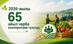 В КР в 2026 году создано 65 новых сельскохозяйственных кооперативов