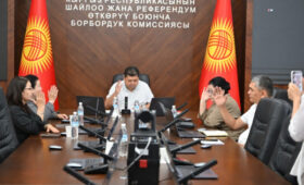 ЦИК утвердила документ о работе группы по вопросам инклюзивных выборов