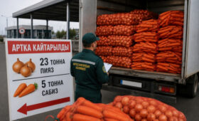 В Кыргызстан не пропустили 28 тонн овощей из Узбекистана