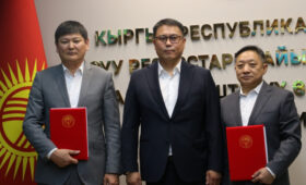 Китай поставит в Кыргызстан первую партию карбамида