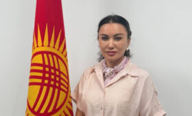 Рысгул Акимжанова назначена заместителем министра сельского хозяйства