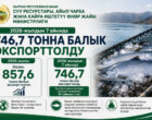 Россия и Казахстан остаются основными покупателями рыбы из Кыргызстана