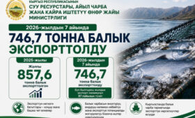 Россия и Казахстан остаются основными покупателями рыбы из Кыргызстана