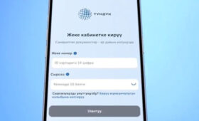 Кыргызстанцы за рубежом смогут дистанционно оформить страховой полис