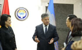 В Кыргызстане планируют вложить $1 млрд в создание фармпарка