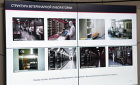 В Бишкеке построят ветеринарные лаборатории для защиты от инфекций