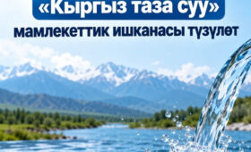 В Кыргызстане создадут госпредприятие «Кыргыз таза суу»