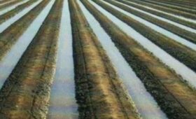 В Кыргызстане план подачи оросительной воды выполнен на 80%
