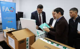 ФАО передала Кыргызстану 1,5 миллиона доз вакцины от чумы животных