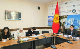 В Кыргызстане выявлены 160 несанкционированных свалок