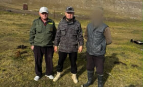 В Кочкорском районе обнаружили тушу детёныша дикого козерога